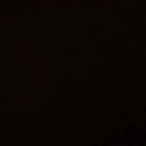 Meet your Posher, Ava